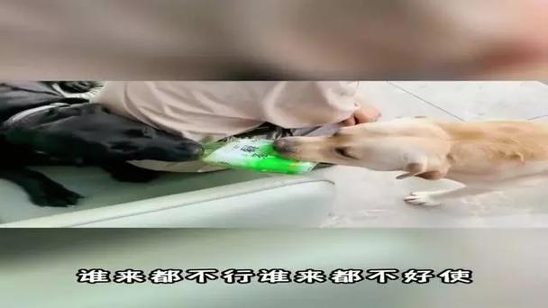 新闻中心 第18页