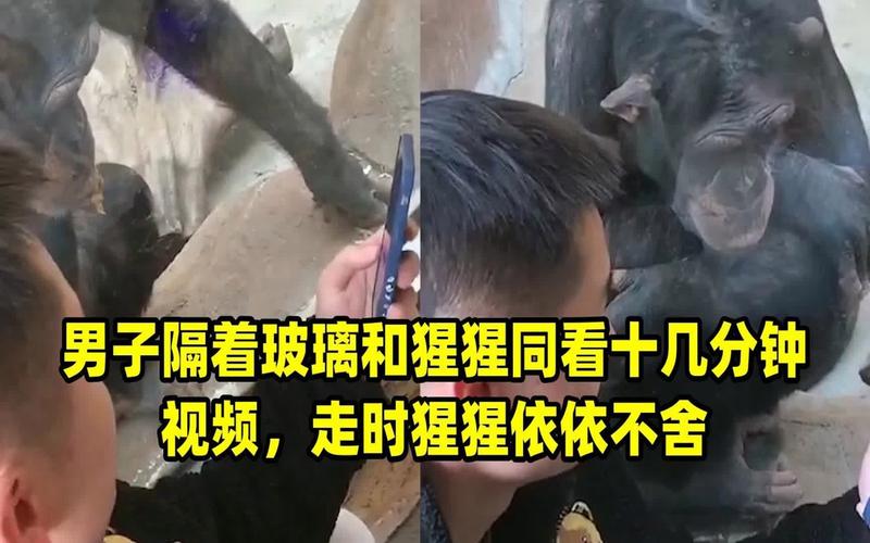 产品中心 第14页