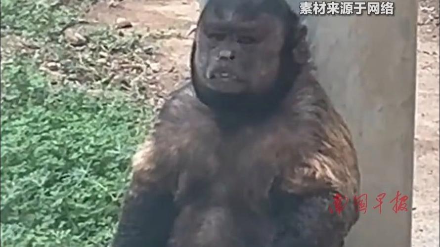 解决方案 第8页