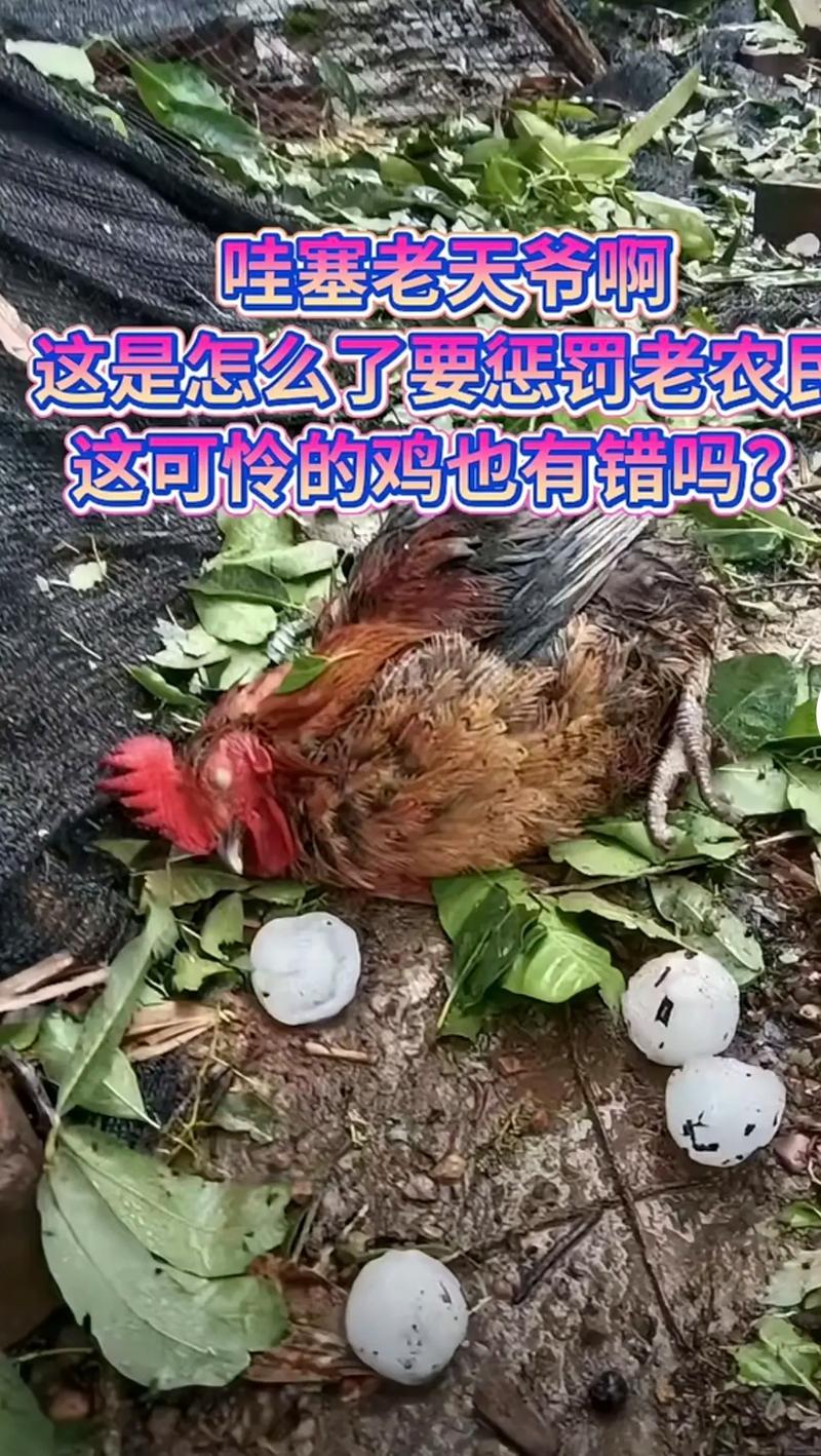 产品中心 第7页